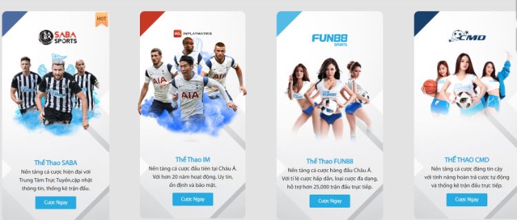 cá cược bóng đá 