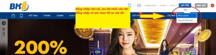 cập nhật hồ sơ